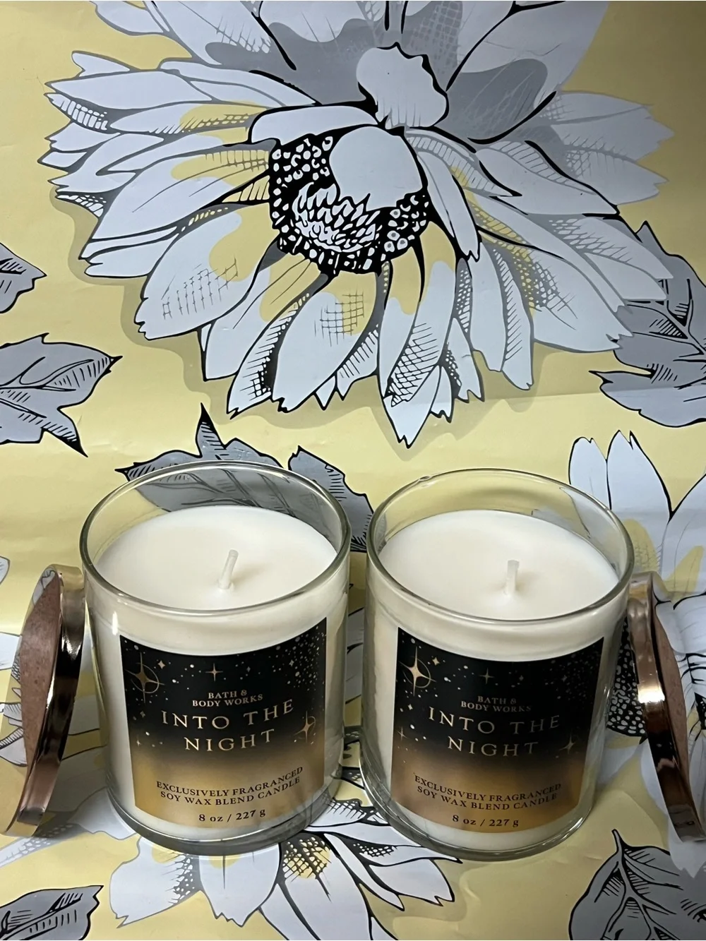 2 Bath & Body Works Into The Night Candle -